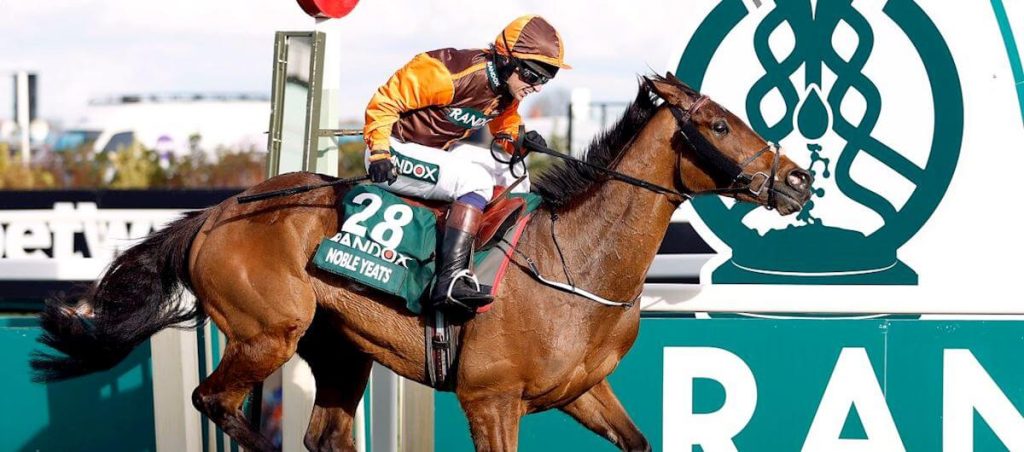 Jockey on a horse riding in the Grand National